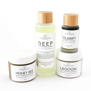 skin care routine natural organic oily combination